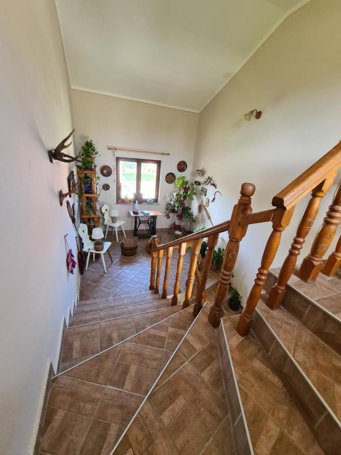Apartman Bepo Gospić Εξωτερικό φωτογραφία
